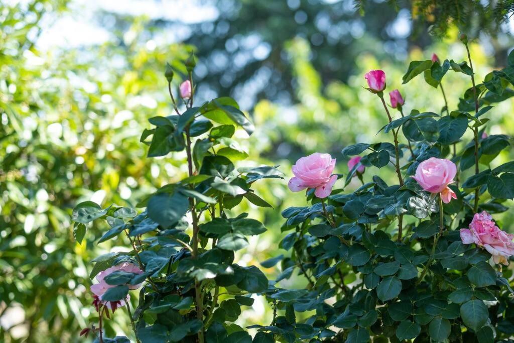 Bois Et Chiffons Famille Et Confort Siorac-en-Perigord Екстер'єр фото